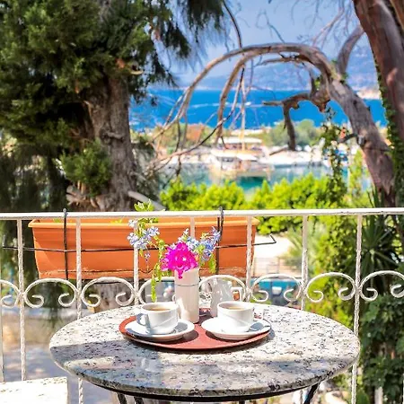 Turkuaz Homestay